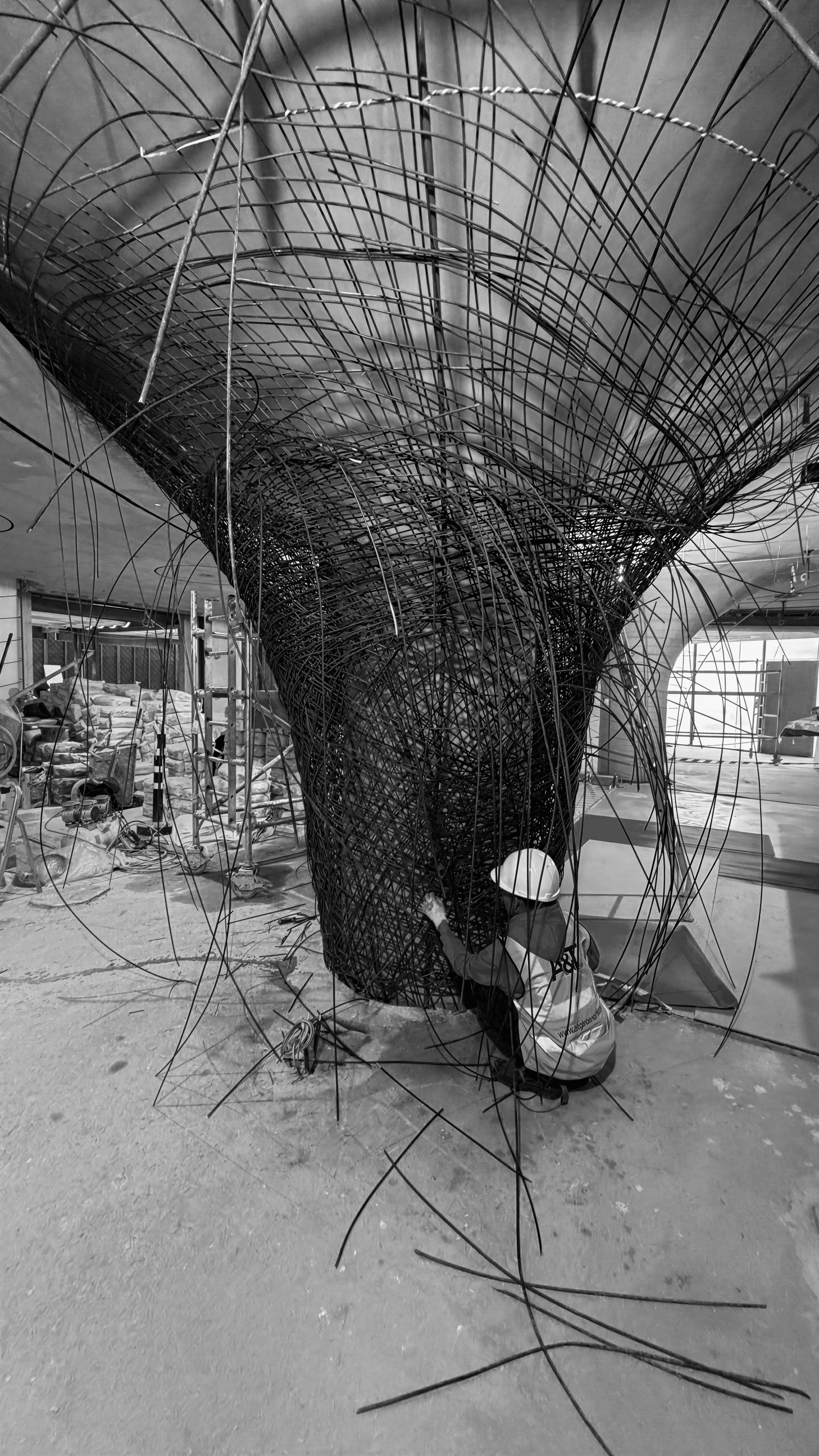 Project Gallery Photo