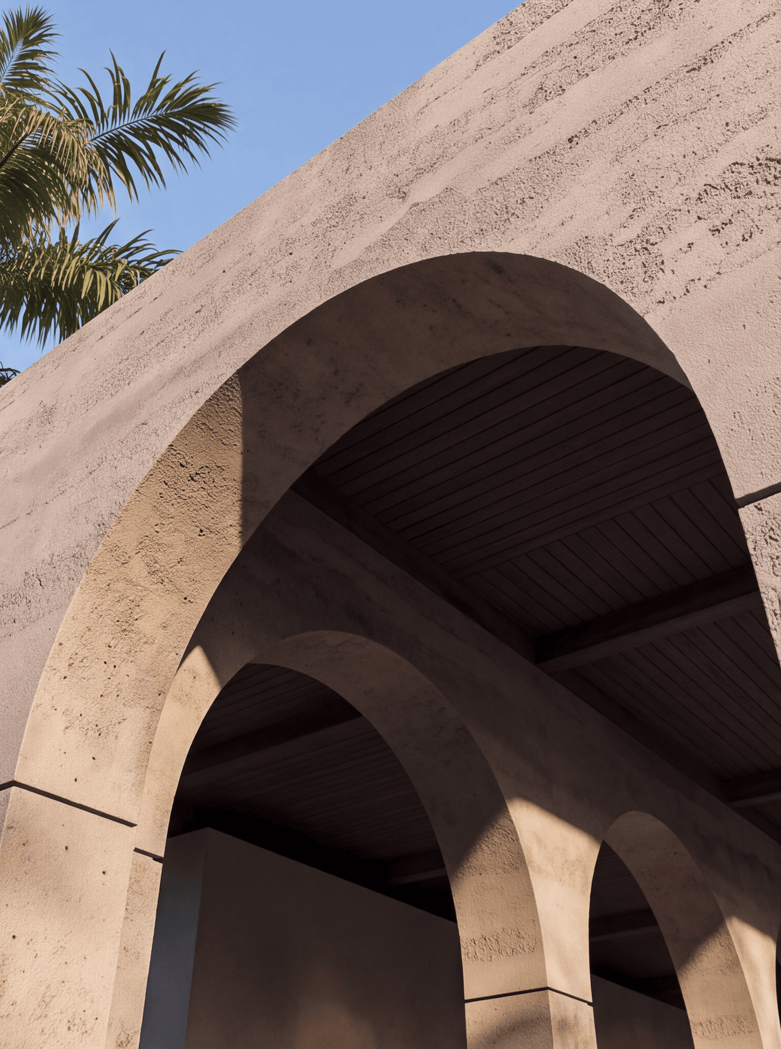 Project Big Detail Photo