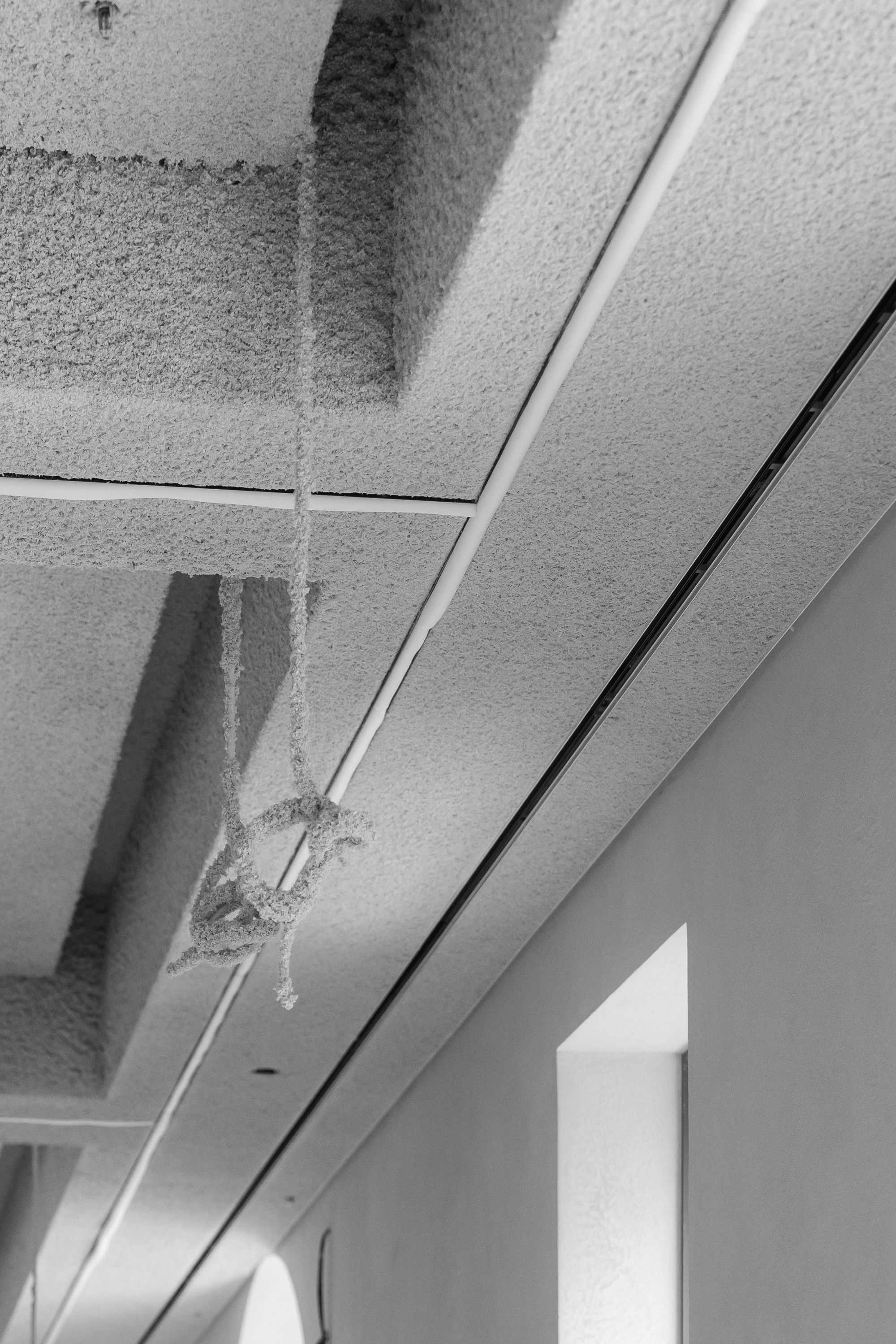 Project Gallery Photo