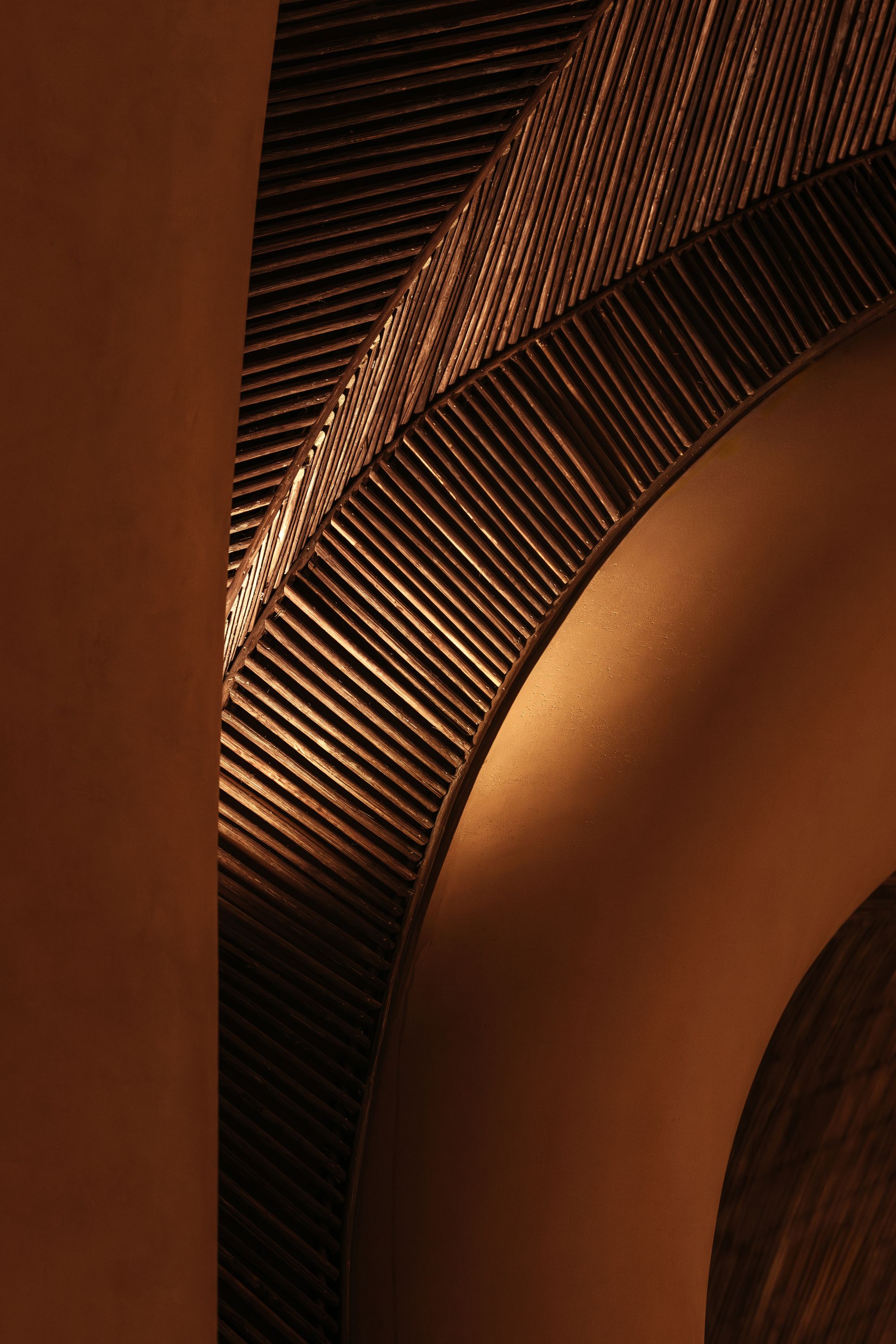 Project Gallery Photo