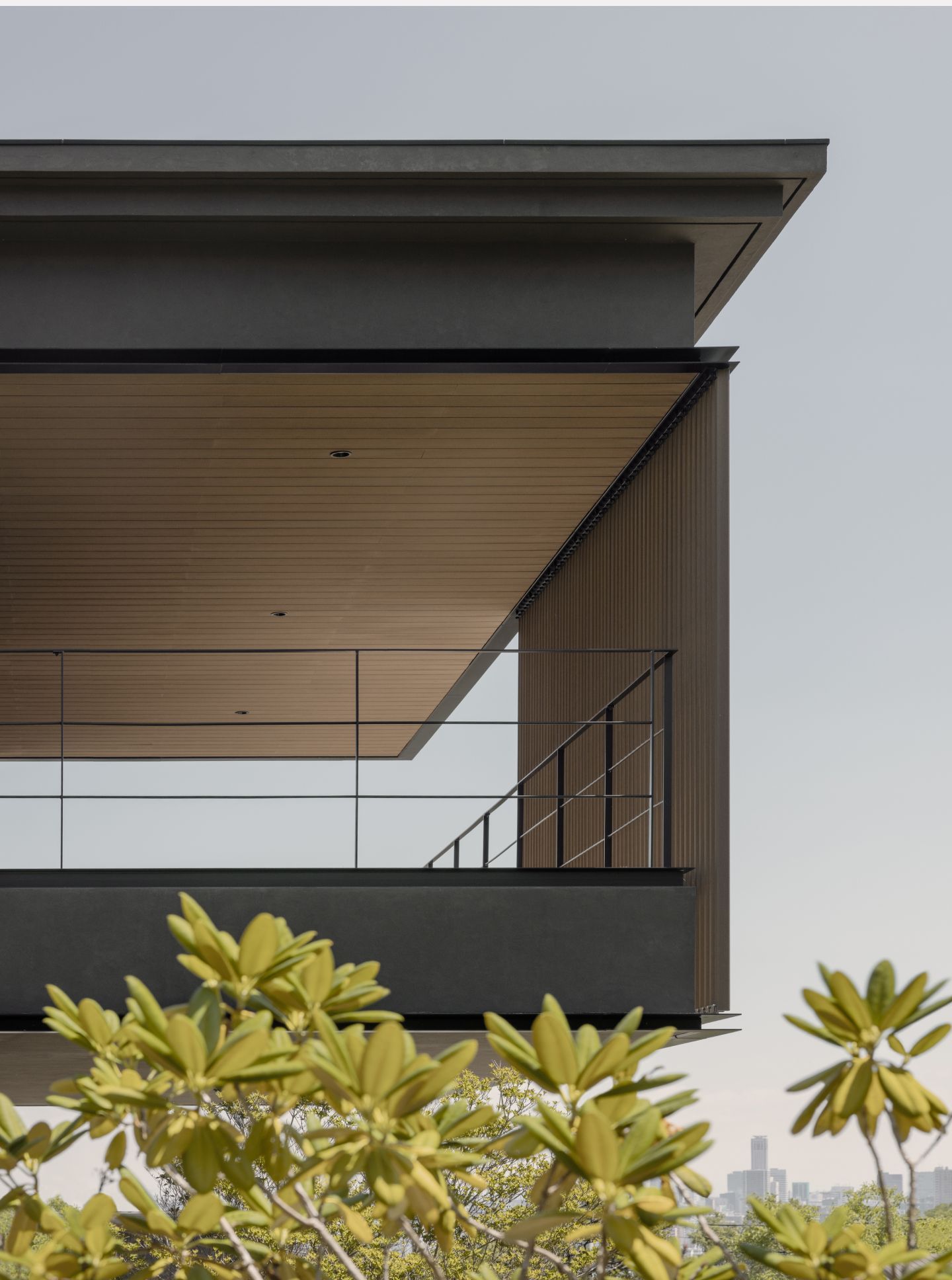 Project Gallery Photo