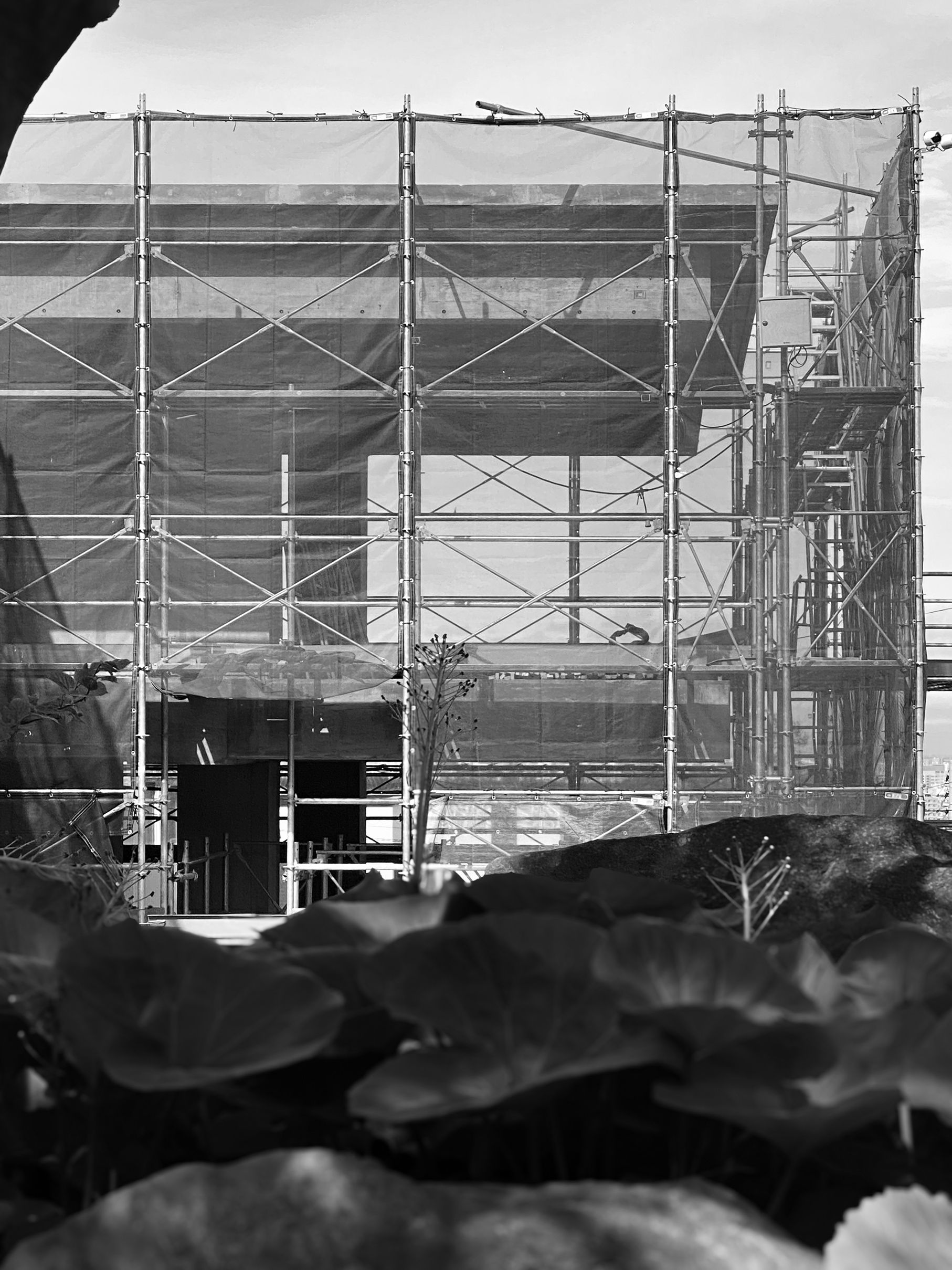 Project Gallery Photo