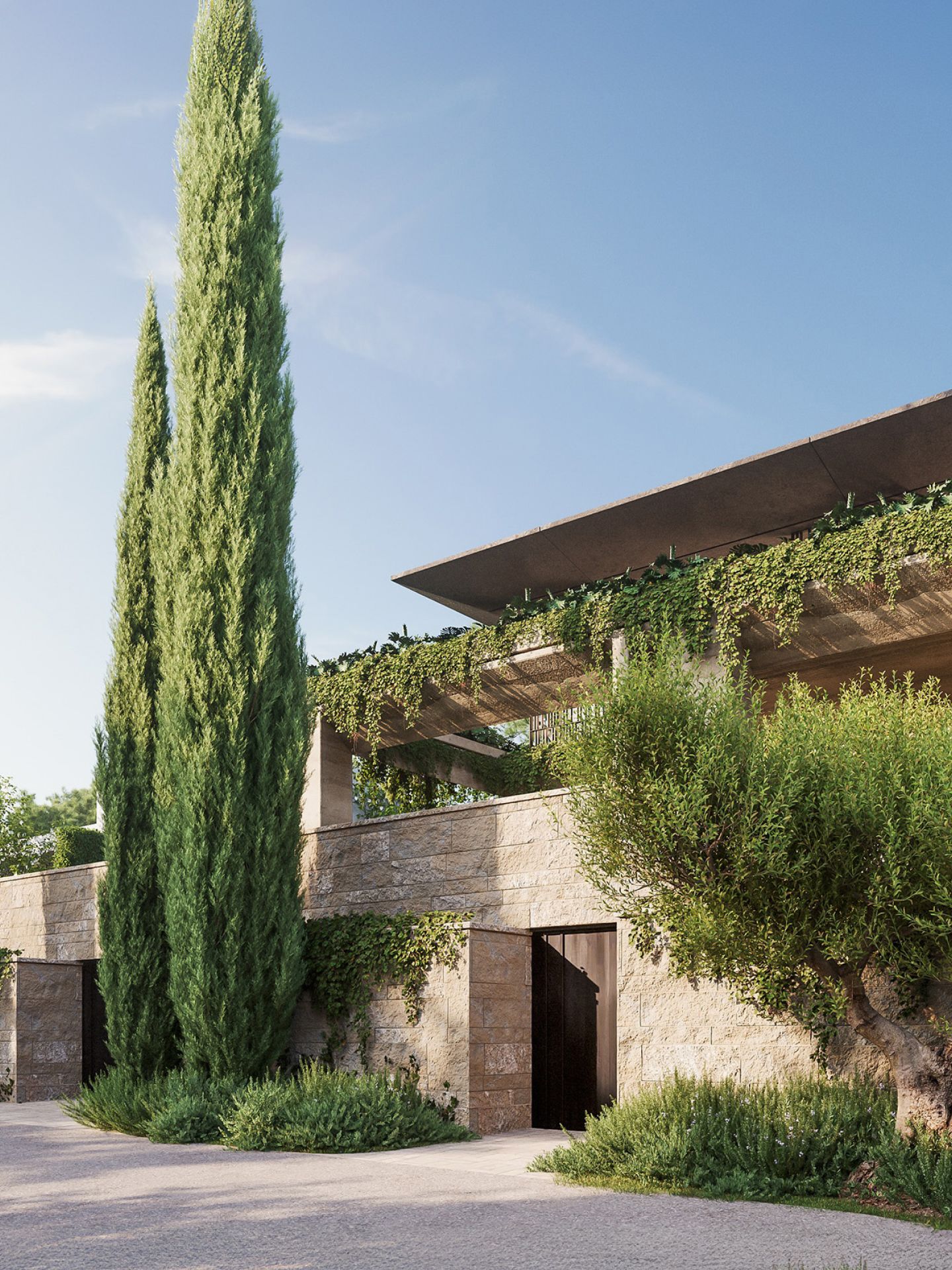 Project Gallery Photo