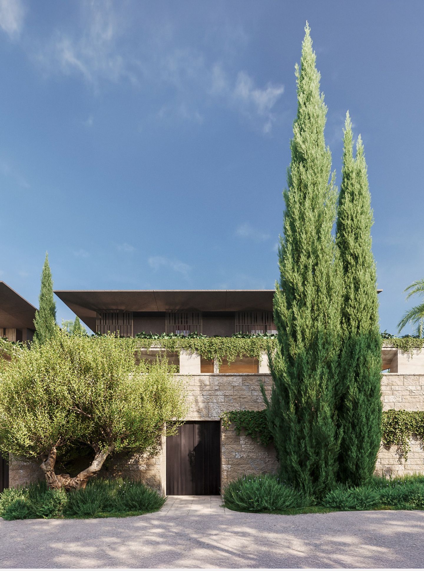 Project Gallery Photo