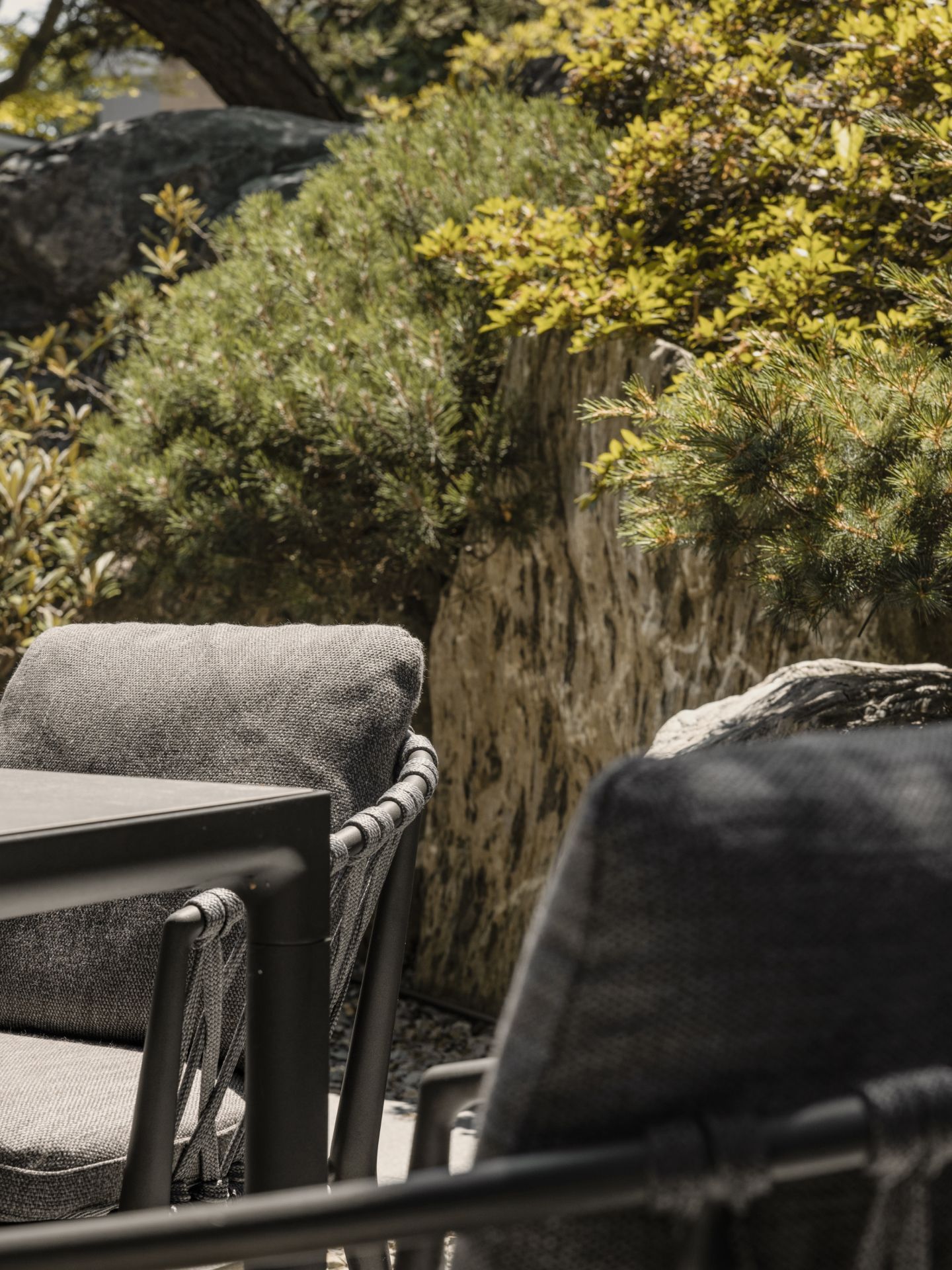 Project Gallery Photo