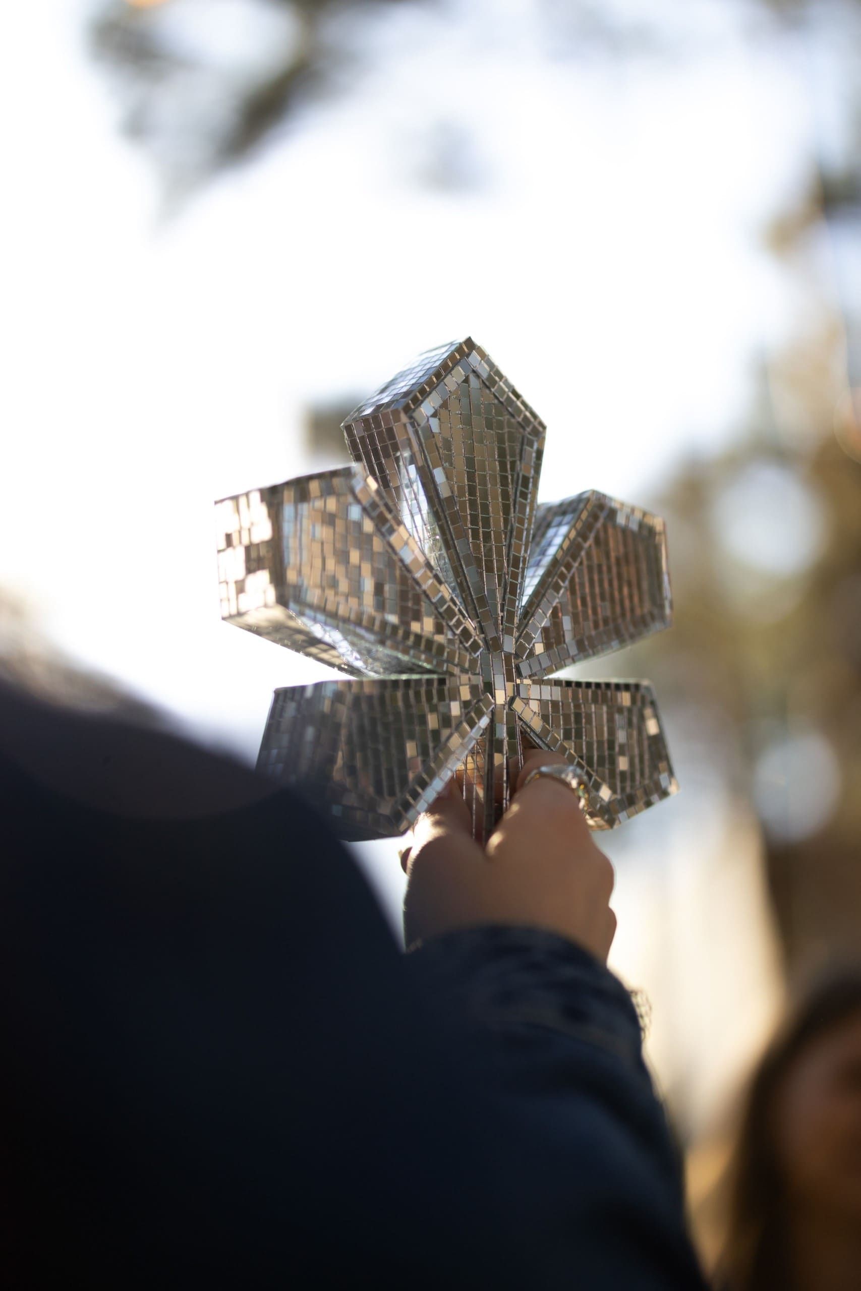 Career Project Manager