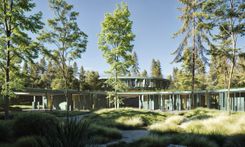 Project Big Detail Photo